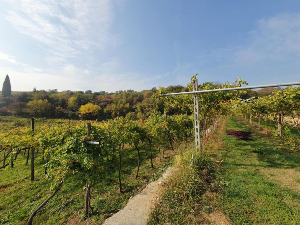 Apartamento L'Antico Granaio Negrar Exterior foto