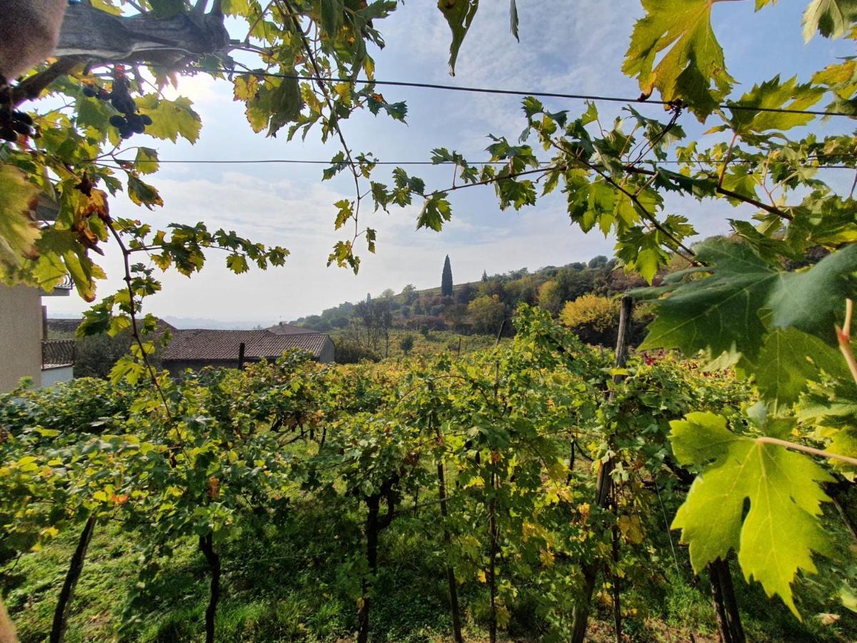 Apartamento L'Antico Granaio Negrar Exterior foto